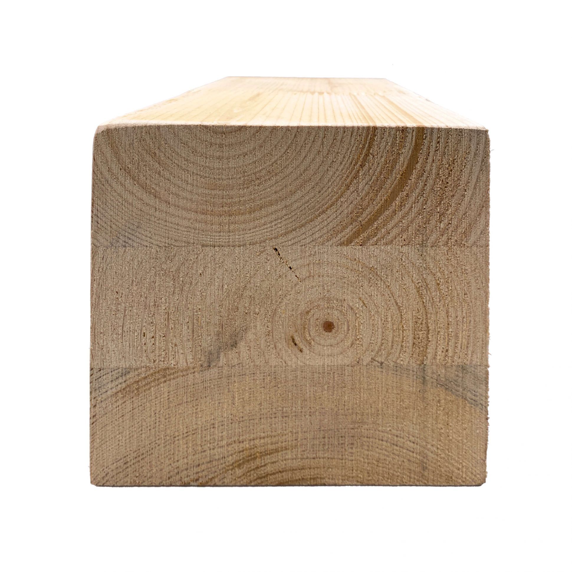 עץ דו שכבתי