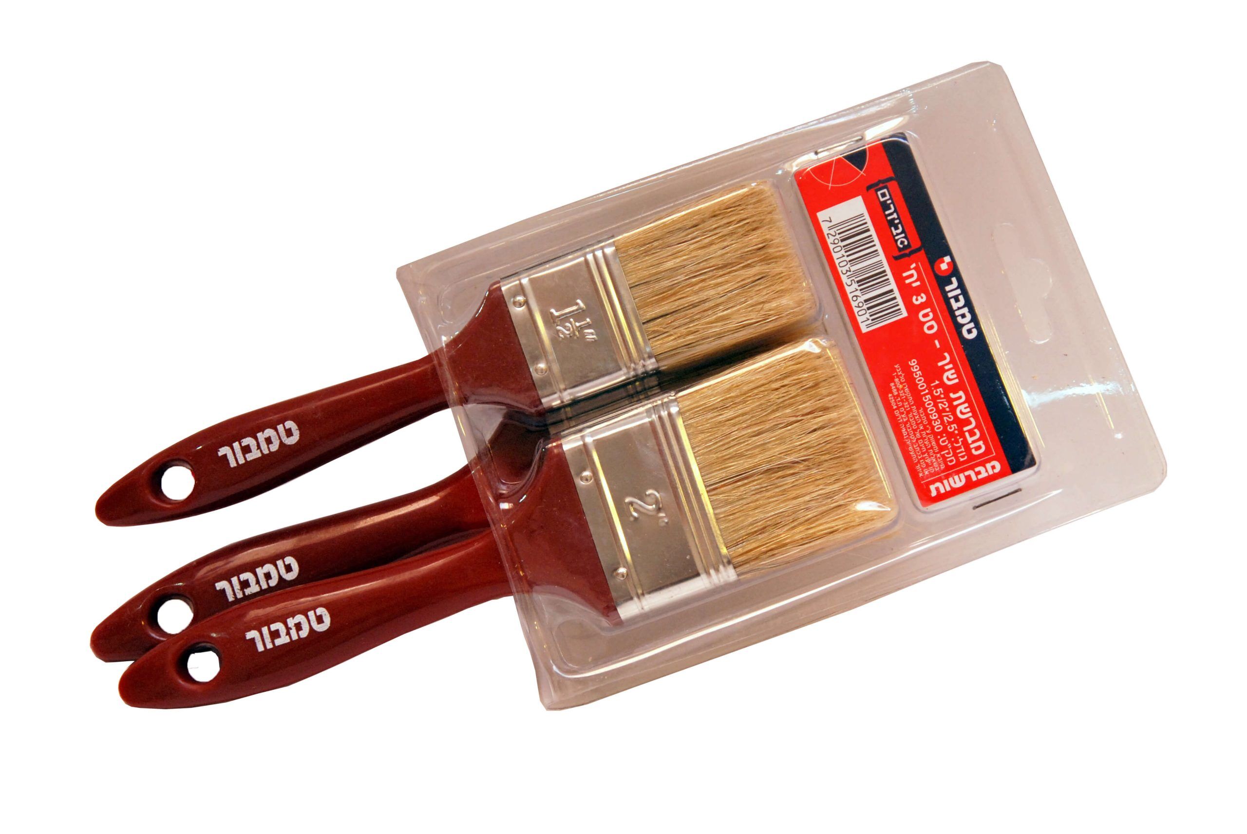 סט 3 מברשות צבע