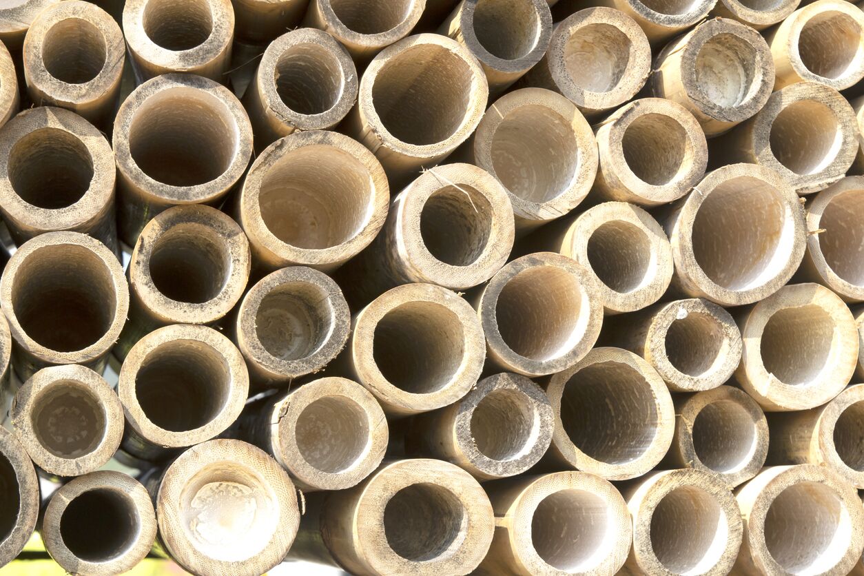 מוטות במבוק מוטות במבוק