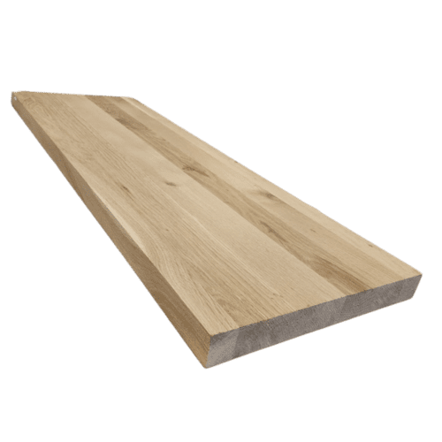 פלטת לאמי אלון זכויות פרג'ון